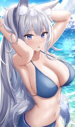 Rule 34 | 1girl, absurdres, animal ears, arms up, azur lane, bikini, blue bikini, blue eyes, blush, breasts, cleavage, day, fox ears, fox girl, fox tail, grey hair, highres, jyu-so, large breasts, long hair, looking at viewer, outdoors, parted lips, revision, shinano (azur lane), solo, stomach, swimsuit, tail, water, wet