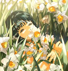 Rule 34 | 1girl, absurdres, black hair, bouquet, choppy bangs, commentary request, daffodil, dappled sunlight, day, field, flower, flower field, grass, grey eyes, highres, holding, holding bouquet, looking at viewer, lying, myango (applemangocrape), nude, on back, on grass, original, outdoors, short hair, solo, squinting, sunlight, tall grass, upper body, white flower