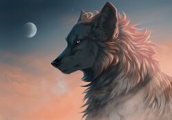 Rule 34 | animal, commentary, english commentary, full moon, moon, morning, no humans, orange sky, original, profile, sky, solo, star (sky), wolf, wolfroad