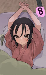 Rule 34 | 1girl, absurdres, arms up, black hair, brown eyes, brown kimono, collarbone, commentary request, futon, hair between eyes, highres, japanese clothes, kimono, kunoichi tsubaki no mune no uchi, lying, on back, own hands together, pillow, rindou (kunoichi tsubaki no mune no uchi), short sleeves, solo, spoken number, tatami, under covers, wide sleeves, yamamoto souichirou