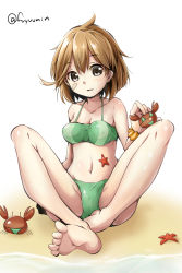 Rule 34 | 10s, 1girl, ahoge, bandaid, bandaid on face, bare shoulders, beach, bikini, cameltoe, collarbone, crab, fuyu mi, green bikini, grey eyes, kantai collection, light brown hair, looking at viewer, navel, oboro (kancolle), short hair, simple background, smile, solo, spread legs, starfish, swimsuit, white background