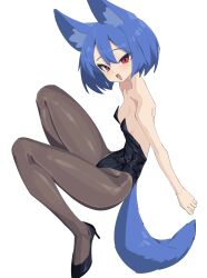 Rule 34 | 1girl, :d, absurdres, animal ear fluff, animal ears, backless leotard, bare shoulders, black footwear, black leotard, black pantyhose, blush, bob cut, breasts, commentary, fox ears, fox girl, fox tail, from side, full body, good thighs day, hair between eyes, high heels, highleg, highleg leotard, highres, knees up, leotard, light blush, looking at viewer, looking to the side, miya (myakuro), myakuro, open mouth, original, pantyhose, playboy bunny, red eyes, shoes, short hair, simple background, small breasts, smile, solo, squatting, strapless, strapless leotard, tail, thighs, white background