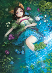 Rule 34 | 1girl, absurdres, animal ears, bare shoulders, barefoot, blue dress, blue eyes, blue flower, brown hair, caustics, choker, detached sleeves, dress, elin, flat chest, flower, hand on own stomach, highres, in water, knee up, lily pad, looking at viewer, lying, medium hair, multicolored clothes, multicolored dress, on back, outdoors, partially submerged, pink choker, pink flower, sehee, solo, strapless, strapless dress, tera online, water, water lily flower, wet, wet clothes, white dress