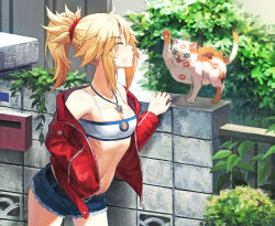 Rule 34 | 1girl, bandeau, bare shoulders, blonde hair, blush, braid, breasts, camisole, cat, closed eyes, commentary request, cowboy shot, crop top, denim, denim shorts, fate/apocrypha, fate/grand order, fate (series), french braid, hair ornament, hair scrunchie, highres, jacket, jewelry, lipstick mark, long hair, long sleeves, midriff, mordred (fate), mordred (fate/apocrypha), mordred (memories at trifas) (fate), navel, necklace, off shoulder, open clothes, open jacket, parted bangs, ponytail, puckered lips, red jacket, red scrunchie, scratches, scrunchie, short shorts, shorts, sidelocks, small breasts, spaghetti strap, thighs, tonee