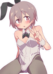 Rule 34 | 1boy, animal ears, bare arms, bare shoulders, black bow, black bowtie, blush, bow, bowtie, brown hair, bulge, commentary, crossdressing, detached collar, grey pantyhose, hair between eyes, hatafuta, leotard, looking at viewer, male focus, male playboy bunny, onii-chan wa oshimai!, open mouth, oversized breast cup, pantyhose, rabbit ears, senkawa minato, solo, strapless, strapless leotard, trap, v, white leotard, wrist cuffs