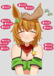Rule 34 | 1girl, animal ears, bare shoulders, breasts, brown hair, cleavage, closed eyes, closed mouth, commentary request, disembodied limb, facing viewer, front-tie top, gameplay mechanics, grey background, hair ornament, headpat, highres, horse ears, horse girl, large breasts, medium hair, simple background, smile, solo focus, star (symbol), star hair ornament, taiki shuttle (umamusume), umamusume, upper body, yamada (c57hikaru)