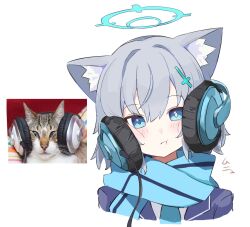 Rule 34 | 0ver sd, 1girl, :t, animal ear fluff, animal ears, blue archive, blue eyes, blue halo, blue scarf, cat, cheek squash, cropped shoulders, cross, cross hair ornament, grey hair, hair ornament, halo, headphones, highres, inverted cross, looking at viewer, medium hair, mismatched pupils, photo-referenced, reference inset, scarf, shiroko (blue archive), shiroko (young) (blue archive), simple background, white background, wolf ears