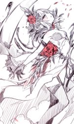 Rule 34 | 1girl, black gloves, blood, blood on clothes, blush, breasts, cape, cleavage, clothing cutout, dress, feathers, flower, gloves, grey eyes, hair bun, navel cutout, petals, red flower, short hair, single hair bun, sinoalice, sketch, snow white (sinoalice), spot color, teroru, thighhighs, veil