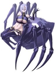 Rule 34 | 1girl, animated, arthropod girl, breasts, insect girl, large breasts, midriff, monster musume no iru nichijou, navel, official art, purple hair, rachnera arachnera, red eyes, revealing clothes, solo, spider girl, tagme, underboob, video