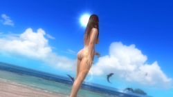 Rule 34 | 1girl, ass, beach, breasts, brown hair, dead or alive, dead or alive 5, dolphin, kasumi (doa), large breasts, lens flare, long hair, nipples, nude, ocean, screencap, sky, sun, third-party edit, water