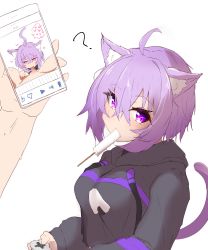 Rule 34 | 1girl, absurdres, animal ears, cat ears, cat girl, cat tail, cellphone, controller, disembodied hand, fellatio, food, game controller, highres, hololive, looking at viewer, nekomata okayu, oral, panna cotta45, penis, phone, popsicle, purple eyes, purple hair, smartphone, tail, virtual youtuber