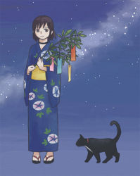 Rule 34 | 1girl, blue kimono, brown hair, cat, collar, fatal frame, fatal frame 3, hinasaki miku, japanese clothes, kimono, milky way, night, short hair, solo, star (sky), tanabata, tanzaku, yukata