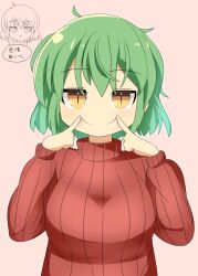 Rule 34 | 1girl, blush, breasts, closed mouth, commentary request, forced smile, green hair, highres, hikage (senran kagura), large breasts, lets0020, long sleeves, looking at viewer, medium bangs, pink background, red sweater, senran kagura, short hair, simple background, slit pupils, smile, solo, sweater, translation request, upper body, yellow eyes