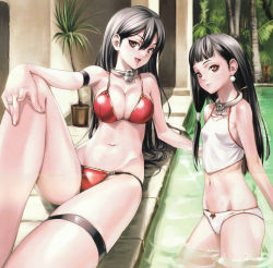 Rule 34 | 2girls, arm strap, bare shoulders, bikini, black hair, blunt bangs, breasts, cleavage, collar, foreshortening, from side, hair between eyes, jewelry, long hair, lowleg, lowleg bikini, multiple girls, nakano tomokazu, navel, neck ring, plant, queen&#039;s blade, queen&#039;s blade rebellion, red bikini, red eyes, sainyang (queen&#039;s blade), siblings, sisters, sitting, skindentation, smile, source request, standing, string bikini, swimsuit, tankini, tarnyang (queen&#039;s blade), thigh strap, twins, very long hair, wading, white bikini