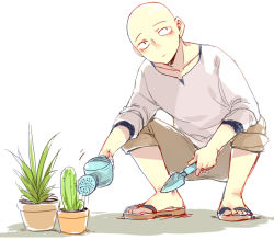Rule 34 | 1boy, bald, cactus, doudoude dou, gardening, male focus, one-punch man, plant, potted plant, saitama (one-punch man), sandals, solo, squatting, trowel, watering, watering can