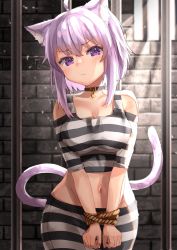 Rule 34 | 1girl, absurdres, alternate costume, animal collar, animal ears, bare shoulders, bars, bound, bound wrists, breasts, cat ears, cat girl, cat tail, collar, crop top, frown, highres, hololive, indoors, light particles, looking at viewer, medium breasts, medium hair, midriff, navel, nekomata okayu, prison, prison clothes, purple eyes, purple hair, solo, standing, starkamisan, sunlight, tail, virtual youtuber, window
