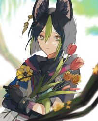 Rule 34 | 1boy, animal ear fluff, animal ears, asymmetrical sleeves, black gloves, black hair, black shirt, blunt ends, blurry, blurry background, blurry foreground, branch, bright pupils, closed mouth, commentary request, depth of field, drawstring, earrings, expressionless, eyelashes, flower, fox ears, genshin impact, gloves, gradient eyes, green eyes, green hair, highres, holding, holding flower, hood, hood down, hoodie, itoma (o it m12), jewelry, long sleeves, looking at viewer, male focus, medal, multicolored clothes, multicolored eyes, multicolored hair, red eyes, red flower, shirt, short hair, short sleeves, sidelocks, single earring, solo, tassel, tighnari (genshin impact), tulip, turtleneck, two-tone hair, upper body, yellow flower