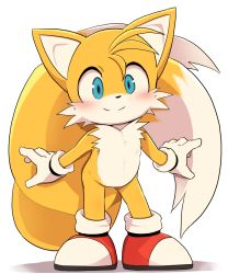 Rule 34 | 1boy, animal nose, blue eyes, blush, dagashi (daga2626), fox, furry, furry male, happy, highres, multiple tails, sega, shoes, sonic (series), tail, tails (sonic), two tails, white background