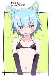 Rule 34 | 1girl, animal ear fluff, animal ears, bikini, black bikini, black gloves, blue eyes, blue hair, blush, breasts, bright pupils, cat ears, character name, commentary request, elbow gloves, embarrassed, fang, gloves, ixy, jitome, looking at viewer, misskey.io, misskey.io username, murakami-san (misskey.io), navel, open mouth, skin fang, small breasts, solo, sweatdrop, swimsuit, white pupils