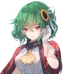 Rule 34 | 1girl, adjusting hair, arm at side, arm up, ascot, bangs pinned back, blush, breasts, buttons, capelet, center frills, chiroru (cheese-roll), colored eyelashes, commentary, flower, frills, gloves, green hair, hair between eyes, hair flower, hair ornament, hair ribbon, kazami yuuka, large breasts, light smile, lips, plaid, plaid capelet, red capelet, red eyes, ribbon, short hair, simple background, skirt, solo, standing, sunflower, touhou, upper body, white background, white ribbon, yellow ascot, yellow flower