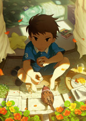 Rule 34 | 1boy, animal, bandaid, bandaid on knee, bandaid on leg, barefoot, bed, bird, blue shirt, blue shorts, book, bread, brown eyes, brown hair, child, commentary request, cup, curtains, day, drinking glass, eating, eurasian tree sparrow, feeding, flower, food, fork, from above, male focus, noeyebrow (mauve), original, petals, pillow, red flower, shirt, short sleeves, shorts, signature, sitting, slippers, unworn slippers, solo, sparrow, star-shaped pillow, stool, table, tsurime, veranda, yellow flower