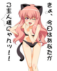 Rule 34 | 00s, 1girl, a1 (initial-g), animal ears, cat ears, cat tail, louise francoise le blanc de la valliere, panties, simple background, solo, tail, text focus, translated, underwear, zero no tsukaima