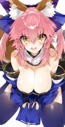 Rule 34 | 10s, 1girl, absurdres, animal ear fluff, animal ears, bare shoulders, between legs, blue thighhighs, blurry, blush, bow, breasts, cleavage, depth of field, detached collar, detached sleeves, fangs, fate/extra, fate (series), foreshortening, fox ears, fox tail, hair between eyes, hair bow, hand between legs, highres, kou mashiro, large breasts, looking at viewer, open mouth, pink hair, sidelocks, sitting, solo, tail, tamamo (fate), tamamo no mae (fate/extra), thighhighs, twintails, wariza, yellow eyes