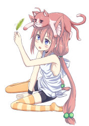 Rule 34 | 1girl, :d, ahoge, animal, animal ear fluff, animal ears, animal on head, arm up, asymmetrical legwear, bare arms, bare shoulders, between legs, bike shorts, black choker, black shorts, blue eyes, blush, brown eyes, cat, cat ears, cat on head, choker, commentary request, hair between eyes, hair bobbles, hair ornament, hand between legs, highres, hinata channel, holding, jd (bibirijd), long hair, low twintails, mismatched legwear, nekomiya hinata, no shoes, on head, open mouth, orange thighhighs, pink hair, shirt, short shorts, shorts, simple background, sitting, smile, solo, striped clothes, striped thighhighs, tank top, thighhighs, twintails, very long hair, virtual youtuber, wariza, white background, white shirt
