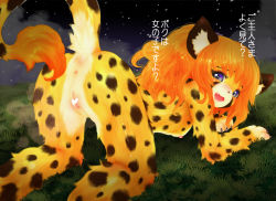 Rule 34 | 1girl, all fours, censored, copyright request, furry, grass, heart, heart censor, japanese text, long hair, open mouth, orange hair, purple eyes, pussy, tagme, tashiro yuu, tiger, translation request