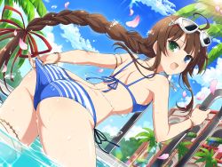 Rule 34 | ahoge, armlet, ass, back-tie bikini, bare hips, bare legs, bare shoulders, bikini, bikini pull, blue eyes, bracelet, braid, braided ponytail, breasts, brown hair, butt crack, clothes pull, green eyes, hair ribbon, heterochromia, highres, huge ass, jewelry, legs apart, long hair, looking back, necklace, open mouth, petals, pool, ribbon, rose petals, ryoubi (senran kagura), senran kagura, senran kagura new link, side-tie bikini bottom, sideboob, small breasts, sunglasses on head, swimsuit, thick thighs, thighlet, thighs, water, wet, wet clothes, wet swimsuit