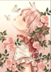 Rule 34 | 1girl, 2019, arm at side, black border, blush, border, bug, butterfly, butterfly on head, character name, choker, close-up, commentary request, dated, expressionless, eyelashes, flower, gradient background, happy birthday, head tilt, insect, kaname madoka, leaf, lips, looking up, mahou shoujo madoka magica, mahou shoujo madoka magica (anime), parted lips, pink background, pink eyes, pink flower, pink hair, pink rose, pink theme, puffy short sleeves, puffy sleeves, red choker, red ribbon, ribbon, ribbon choker, rose, short sleeves, simple background, solo, upper body, white background, white butterfly, yukishiro (hitsuji)