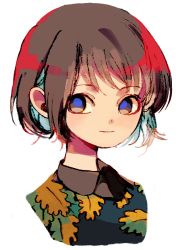Rule 34 | 1girl, blue pupils, brown eyes, brown hair, closed mouth, floral print, green shirt, ka (marukogedago), looking at viewer, original, portrait, shirt, short hair, simple background, smile, solo, white background
