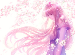 Rule 34 | 1girl, arms at sides, backlighting, black eyes, blunt bangs, blurry, blurry background, branch, breasts, cherry blossoms, closed mouth, depth of field, eyelashes, facing viewer, floating hair, flower, from side, half-closed eyes, happy, head down, highres, hime cut, leaf, lens flare, light, light brown hair, light particles, light smile, lips, long eyelashes, long hair, looking down, original, petals, pink flower, pink theme, purple theme, sakimori (hououbds), short sleeves, sidelocks, simple background, small breasts, solo, straight hair, upper body, very long hair, white background, white flower, wide shot