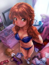 Rule 34 | 1girl, animal, blue bra, blue panties, blush, bra, cage, clothes, clothes on floor, controller, lingerie, open mouth, orange eyes, orange hair, original, panties, perspective, pillow, rabbit, remote control, shiny skin, socks, solo, stuffed animal, stuffed toy, tamatsuyada, television, twintails, underwear, underwear only, white socks