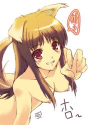 Rule 34 | 1girl, animal ears, breasts, brown hair, holo, long hair, medium breasts, nipples, nude, red eyes, solo, spice and wolf, tail, wolf ears, wolf girl, wolf tail