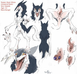 Rule 34 | animal ears, anus, back, claws, clitoris, fangs, flat chest, full body, furry, furry female, long tongue, multicolored hair, object insertion, open mouth, prehensile clitoral hood, pussy, rain silves, sergal, simple background, skull, tail, text focus, tongue, tongue out, trancy mick, white background, yellow eyes