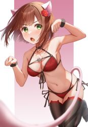Rule 34 | 1girl, animal ears, bikini, black scrunchie, black thighhighs, blush, border, breasts, brown hair, cat day, cat ears, cat tail, collarbone, commentary request, cowboy shot, fake animal ears, fang, flower, green eyes, hair flower, hair ornament, hands up, highres, idolmaster, idolmaster cinderella girls, legs, looking at viewer, maekawa miku, medium breasts, navel, open mouth, paw pose, pink background, red bikini, red flower, red rose, rose, scrunchie, short hair, solo, standing, standing on one leg, stomach, string bikini, swimsuit, tail, thighhighs, thighs, v-shaped eyebrows, white border, wrist scrunchie, yugao (kam pom37)
