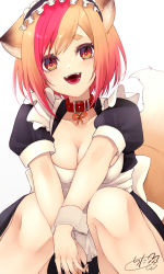 Rule 34 | 1girl, :d, animal ears, apron, black dress, black hairband, breasts, brown hair, chita (ketchup), cleavage, collar, collarbone, dress, fangs, feet out of frame, fox ears, fox girl, fox tail, frilled apron, frilled hairband, frills, hairband, highres, knees up, looking at viewer, maid, medium breasts, multicolored hair, open mouth, original, own hands together, puffy short sleeves, puffy sleeves, red collar, red eyes, red hair, short sleeves, signature, simple background, smile, solo, tail, two-tone hair, white apron, white background, wrist cuffs