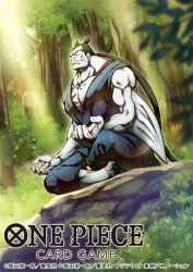 Rule 34 | 1boy, arm tattoo, black hair, blue skin, chest tattoo, closed eyes, colored skin, commentary request, copyright name, crossed legs, dougi, fish boy, forest, kuroobi, light rays, light smile, male focus, meditation, muscular, nature, nekobayashi, official art, one piece, one piece card game, ponytail, rock, sitting, sitting on rock, solo, tattoo, twintails