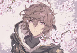 Rule 34 | 1boy, ahoge, bishounen, branch, brown hair, cherry blossoms, commentary request, falling petals, flower, granblue fantasy, hair between eyes, hood, hood down, looking at viewer, male focus, messy hair, pale color, parted lips, petals, pink eyes, pink flower, pota (bluegutty), sandalphon (granblue fantasy), short hair, solo, swept bangs, twitter username