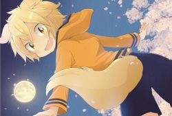 Rule 34 | 1boy, animal ears, black shorts, blonde hair, brown eyes, cherry blossoms, clothing cutout, dog ears, dog tail, fang, from behind, full moon, hood, hoodie, looking back, male focus, moon, night, open mouth, orange hoodie, original, petals, pocchipocchi, short hair, shorts, skin fang, solo, tail, tail through clothes