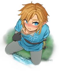 Rule 34 | 1boy, arm behind back, belt, black gloves, blonde hair, blue eyes, blush, chisunosuke, clothes pull, cropped legs, earrings, embarrassed, eyebrows, fingerless gloves, from above, gloves, grey pants, highres, jewelry, link, male focus, nintendo, nipples, pants, parted lips, pointy ears, pulled by self, shirt pull, short sleeves, sideways glance, simple background, sitting, solo, spread legs, the legend of zelda, the legend of zelda: breath of the wild, water, white background