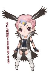 Rule 34 | 1girl, animal ears, belt, bird ears, bird girl, bird tail, bird wings, black eyes, boots, closed mouth, gloves, highres, jacket, kemono friends, lappet-faced vulture (kemono friends), looking at viewer, official art, pink hair, shirt, short hair, shorts, solo, tachi-e, tail, transparent background, wings, yoshizaki mine