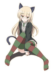 Rule 34 | 1girl, animal ears, between legs, blonde hair, blush, cat ears, cat tail, cosplay, glasses, hand between legs, hime cut, jacket, lynette bishop, lynette bishop (cosplay), military, military uniform, necktie, ouhashi, perrine h. clostermann, simple background, solo, strike witches, striped clothes, striped thighhighs, tail, thighhighs, uniform, vest, world witches series, yellow eyes