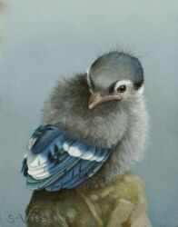 Rule 34 | animal focus, bird, bird request, commentary request, dated, dutch commentary, no humans, original, painting (medium), realistic, solo, suzan visser, traditional media