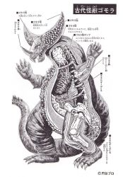 Rule 34 | anatomy, artist request, biology, bone, chart, cross-section, diagram, dinosaur, gomora, heart, japanese text, kaijuu, monster, official art, organs, science, science fiction, skeleton, spikes, translation request, tsuburaya productions, ultra series, ultraman (1st series), x-ray