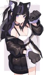 Rule 34 | 1girl, :3, animal ears, animal hands, belt, black belt, black choker, black hair, black jacket, blush, border, breasts, cat ears, choker, cleavage, closed mouth, colored inner hair, cowboy shot, dress, gloves, highres, indie virtual youtuber, jacket, large breasts, looking at viewer, multicolored hair, open clothes, open jacket, pale skin, paw gloves, paw pose, purple eyes, ririsya, short dress, simple background, smile, solo, standing, streaked hair, twitter username, virtual youtuber, white background, white border, white dress, yoako