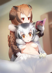 Rule 34 | 10s, 2girls, amekosame, blurry, blurry background, blush, book, breasts, brown eyes, brown hair, buttons, censored, coat, eurasian eagle owl (kemono friends), fur collar, fur trim, gloves, grey hair, groping, hair between eyes, head wings, indoors, kemono friends, long sleeves, looking at viewer, manga (object), mosaic censoring, multicolored hair, multiple girls, navel, northern white-faced owl (kemono friends), open book, open clothes, open mouth, pantyhose, pornography, short hair, small breasts, spread legs, triangle mouth, underboob, white hair, white legwear, wings, yuri