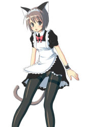Rule 34 | 1girl, animal ears, black pantyhose, cat ears, cat tail, female focus, kimarin, kimimarinet, maid, panties, panties under pantyhose, pantyhose, pantyshot, simple background, solo, tail, thighband pantyhose, underwear, white background, wrist cuffs