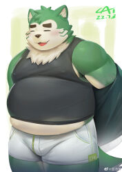 Rule 34 | 1boy, = =, absurdres, bara, bare shoulders, big belly, black tank top, bulge, covered erect nipples, dog boy, fat, fat man, feet out of frame, furry, furry male, green fur, highres, light blush, live a hero, male focus, midriff peek, mokdai (live a hero), nervous smile, pectorals, short hair, shoyuna (cai1448331577), sidepec, smile, solo, standing, tank top, thick eyebrows, thick thighs, thighs, undressing